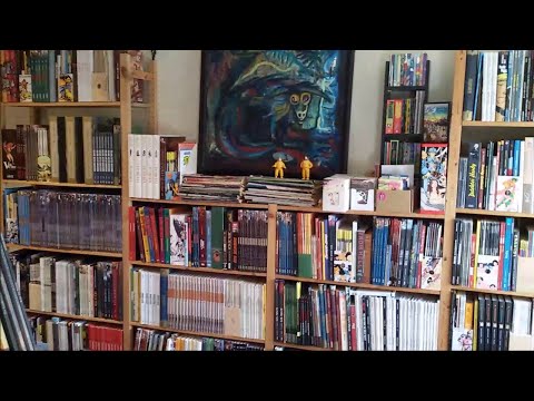 meine Comicsammlung #10 - Zeitreise mit Comics,Teil 1:vom Urknall bis zum Anfang des 19 Jahrhunderts