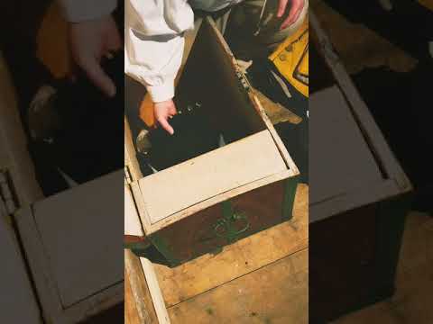 Soldier Trast is preparing for duty with Kungliga Österbottens Regemente