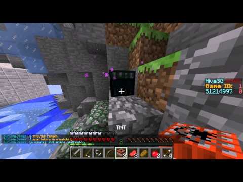 Minecraft Hunger Games #2 - Hive
