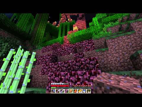 HermitCraft E10: Dig