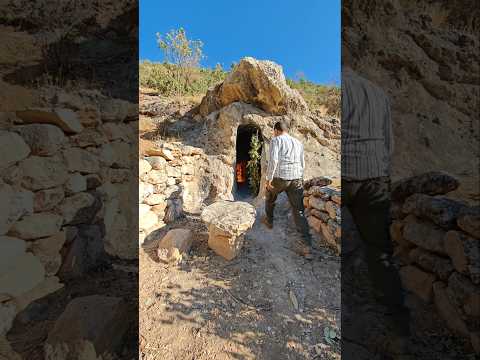 Primitive Bushcraft Shelter | Cozy Night in a Stone Cave with My Dog 🔥