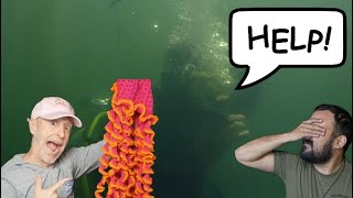 Divers React to injured diver in zero viz