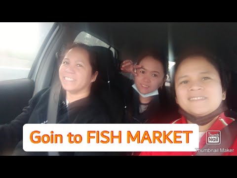Mercado de Peixe de Dubai I Ligação