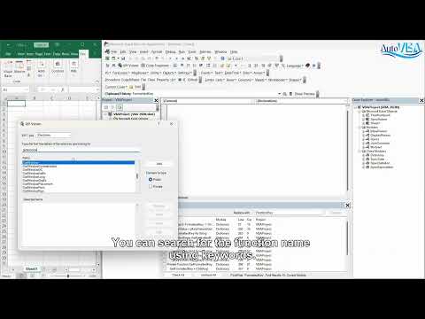 Auto VBA 05 - API Viewer