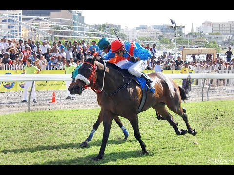 Ready To Attack - The Renault Captur Trophy