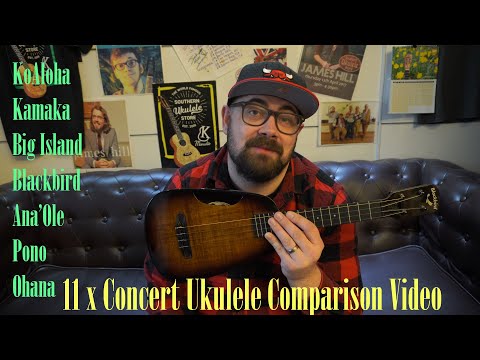 11 x MEGA CONCERT UKULELE COMPARISON VIDEO (Blackbird, Ohana, Kamaka, KoAloha, Pono, Big Island etc)