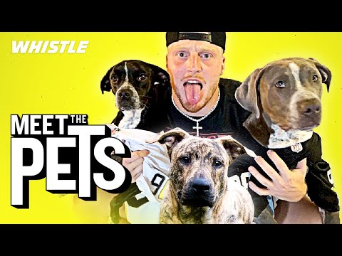 Raiders DE Maxx Crosby Is The BIGGEST Dog Lover In Football!