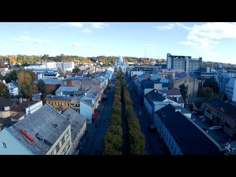 Stop juosta maršrutas Nr.5 - Kino teatrų gatvė (gestų k.)