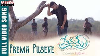 Prema Pusene Full Video Song || Premam Full Video Songs || Naga Chaitanya, Shruthi Hassan, Anupama