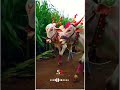 Chun Chun Paijanach Yei Nad Chun Chun Paijanach Yei Nad WhatsApp Status