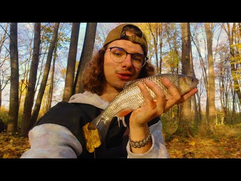 Jesienne Klenie Na Prowizoryczny Spławik z Patyka | Balans Po Drzewie | O Kleniach X