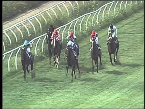 Galoppo 29/07/2015 - 3° corsa