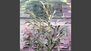 CONNECTIVITY (Olga Wojciechowska Rework)