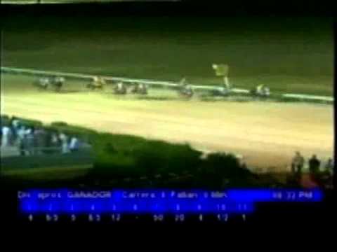 Resumen Jueves, 20 de Octubre de 2011 - Valencia