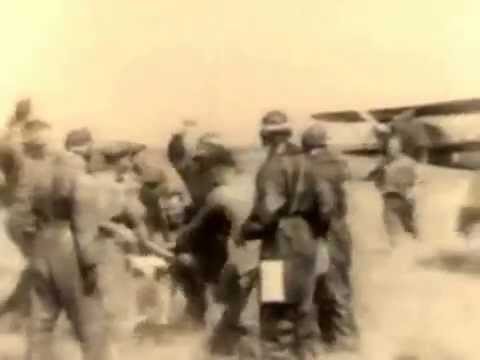 Hungarian Air Force Fiat Cr.42, 1941 (probably 2/3 Fighter Squadron)