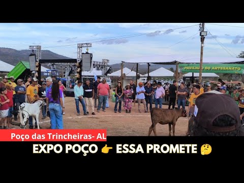 GRANDE FESTA DA AGROPECUÁRIA - 3°EXPOPOÇO - Poço das Trincheiras - AL