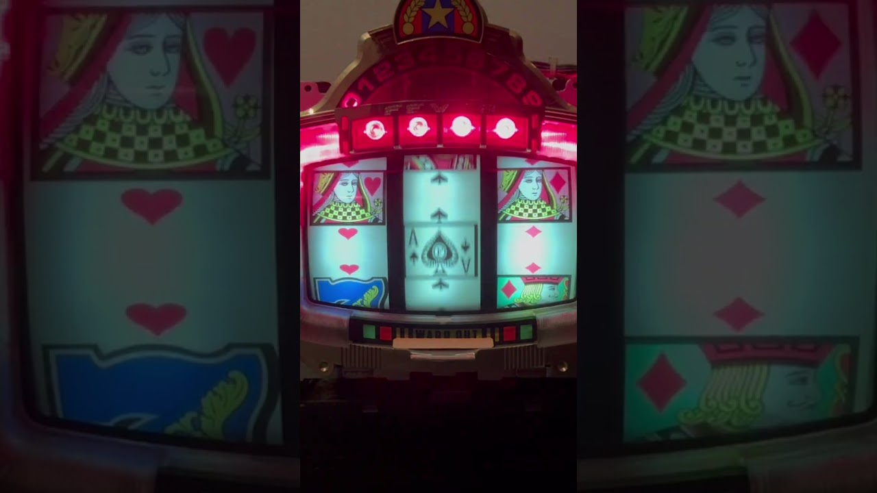 Shorts フィーバークイーン