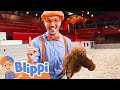 Blippi Learns At A Castle Educational Videos For Kids