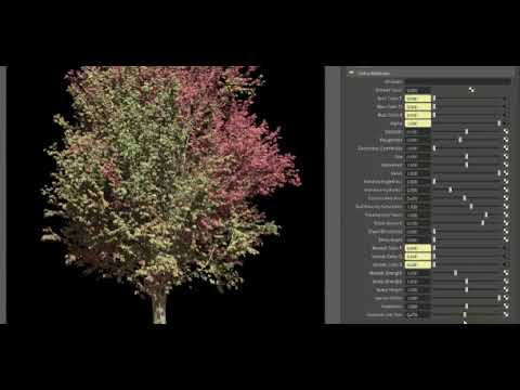 Botaniq Autodesk Maya video de introducción