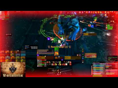 Infinity Project vs Guarm Protection Warrior PoV