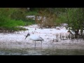 Your Videos On QUEST Kip Evans KQED QUEST