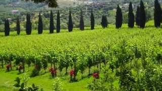 preview picture of video 'Vini Marino   Agropoli'