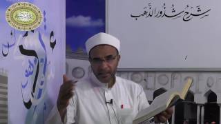 صورة شرح شذور الذهب / المحاضرة الحادية والعشرون / ((ما لا يختص من المبنيات))021