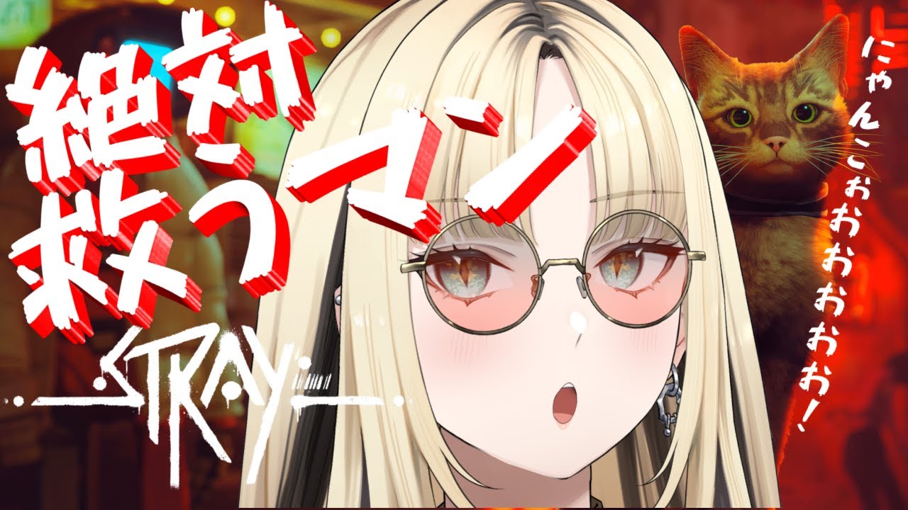 【Stray】にゃんこ絶対救うマン！！！！！！【虎金妃笑虎】＃みんなまじでありがとう無理せず寝てね