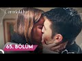 Camdaki Kız 65 Bölüm