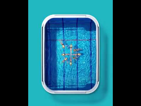 Luminarc is being put to the test 💪 The 4 clips on our Pure Box for a perfect seal!