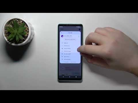 How to Manage the Google Wallet App on SONY Xperia 10 IV