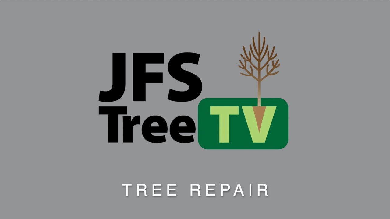 Tree Repair - JFS TreeTV