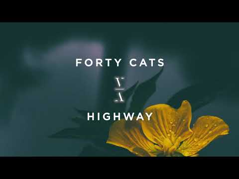 Forty Cats - Highway