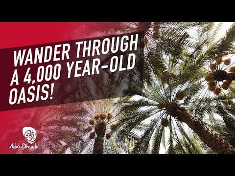 Abu Dhabi attractions and activities | Things to do in Abu Dhabi