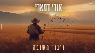 אודי דמארי - ניגון תשובה  (prod. by udi damari)