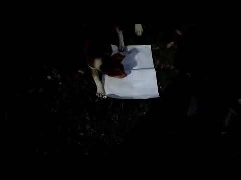 Sikandar playing with his Mother and Sister.