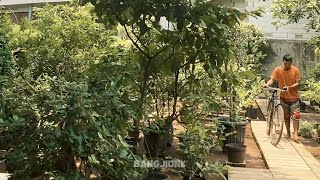 Download lagu Gaji gede mp3