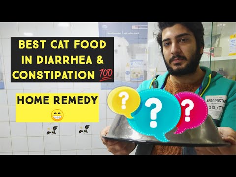 Best Cat Food For Diarrhea | Homemade Cat food for Cat's & Kittens in Diarrhea & Constipation