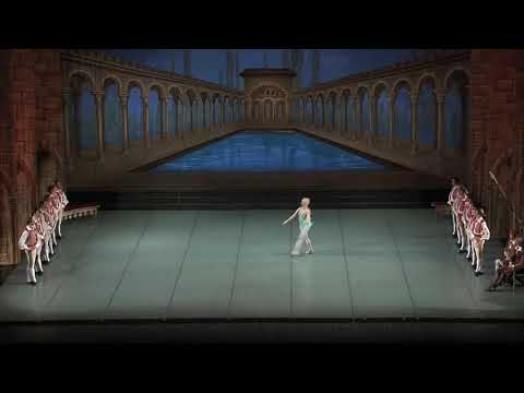 Don Quixote Cupid, Yarotska Anastasiia 29.03.20.