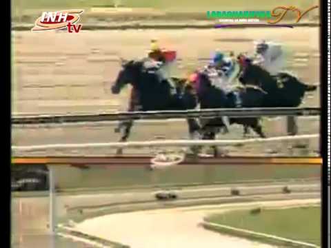 LA RINCONADA 4 CARRERA DOMINGO 26 DE OCTUBRE DEL 2014