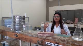 Historiando a Geologia sob a ótica da Sedimentologia