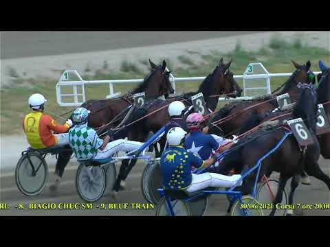 VII Corsa   Premio Marco Tardelli del 30 giugno 2021   4 Anni