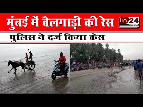 Bullock cart competition organized at Gorai Beach in Mumbai | in24news