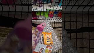 Preparing for Disney Cruise without going broke #budgetcruise #disneywish #moneytips