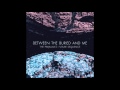 Between the Buried and Me - Melting City 