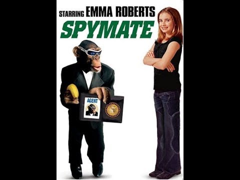 Media Hunter - Spymate Review