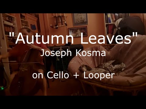"Autumn Leaves" (J. Kosma) on Cello