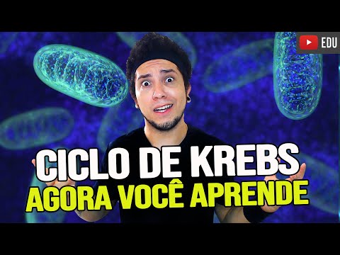 KREBS CYCLE - UNDERSTAND ONCE AND FOR ALL