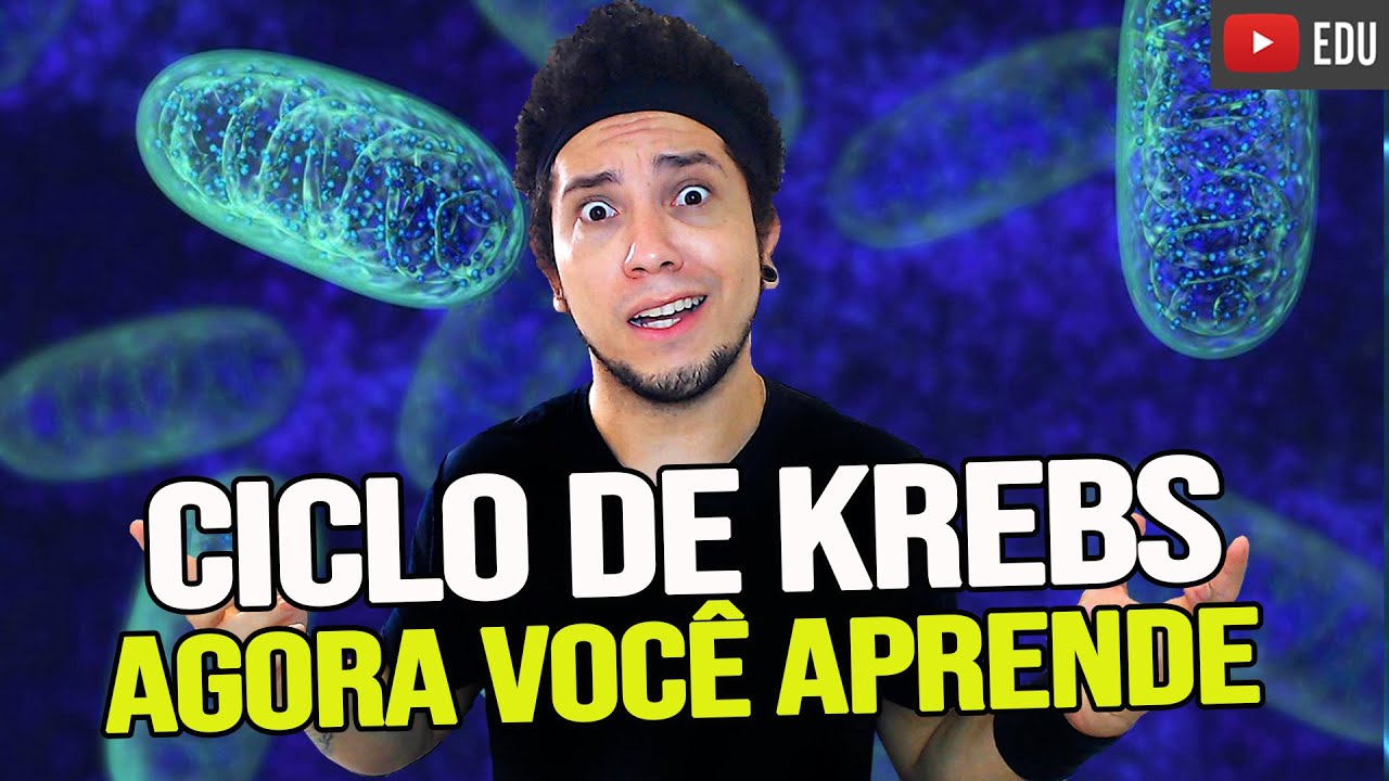 CICLO DE KREBS - ENTENDA DE UMA VEZ POR TODAS