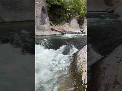 吹割の滝の新緑が見頃です。(広報)